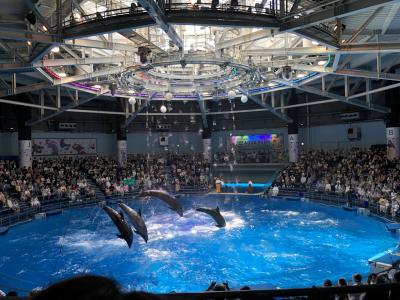 魚と光が芸術的なステキな水族館でした