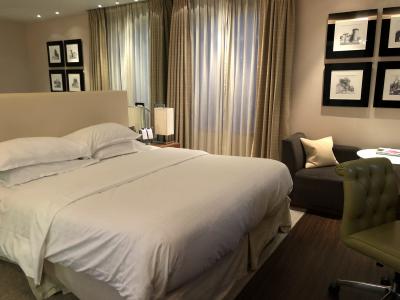 客室の広さは並です。