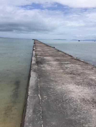 のんびりサイクリング