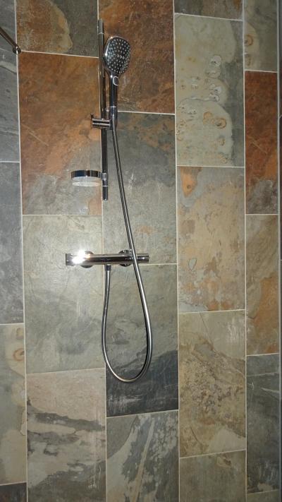 シャワールームはしっかり独立している。周りも変わり大理石