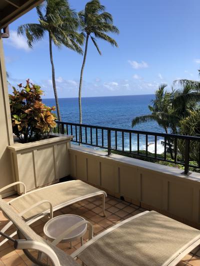 ラナイからの眺め