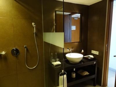 バスタブはありませんが清潔で水圧もOK