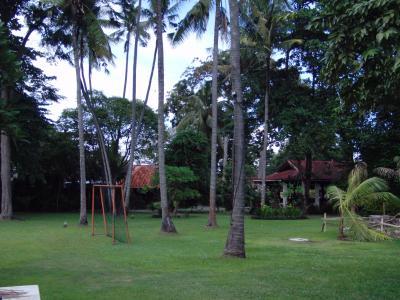 とても広い中庭　プールが併設されてます