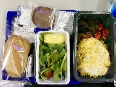 成田→ヒューストン→リオデジャネイロ　機内食(ラクトオボベジタリアン)