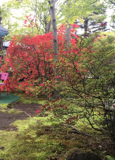 美しい庭のあるカフェ