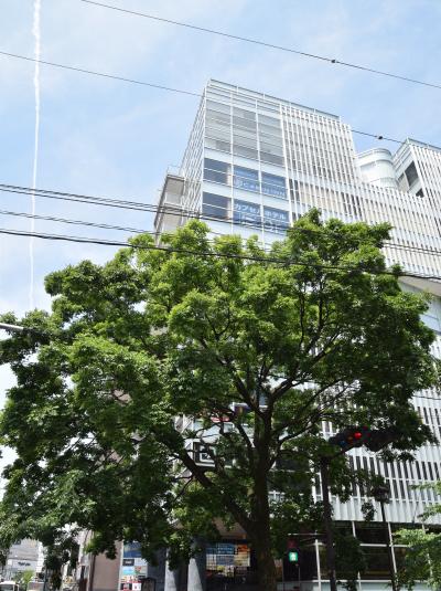 CABIN INN 京都三条河原町