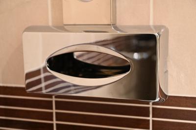 バスルール内のティッシュ。補充されていない。