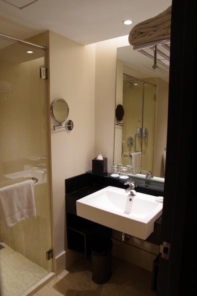 一人で使うなら広さ十分の洗面台