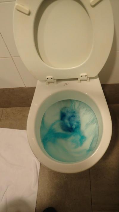 トイレの水は鮮青！