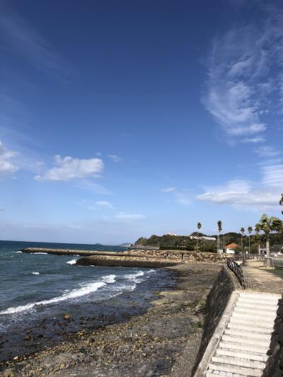 大きな供養塔が有明街道沿いにありました