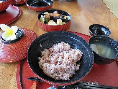 和食があります、美味しいですよ！