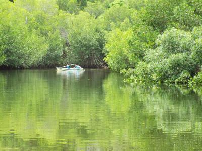 オスロブのジンベイスイムに行くなら、このホテルに泊まるのお勧めです。