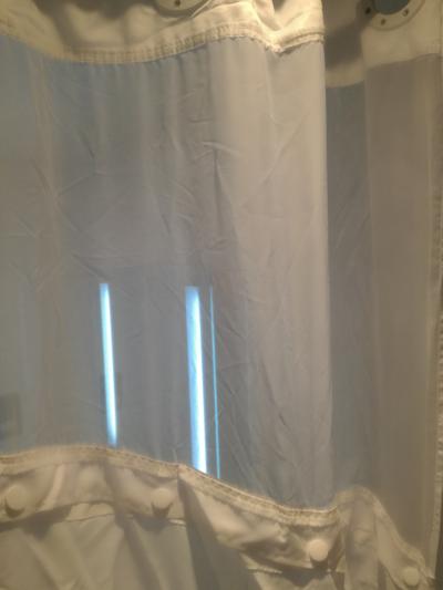 シャワーカーテン。交換が必要。