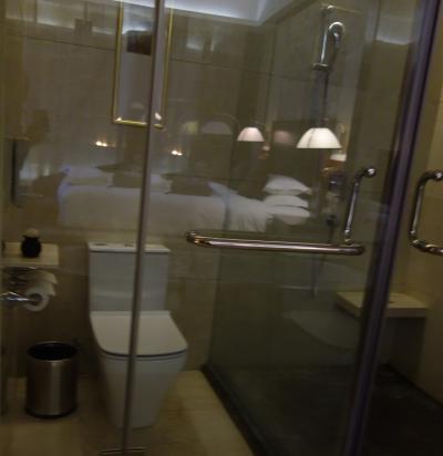 トイレとシャワールームのドアは透明ガラス