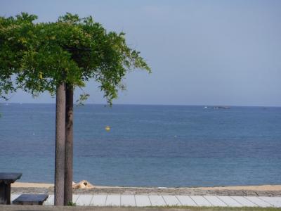 どこか哀しい那智の浜
