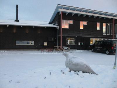 リパンとは雷鳥の意味