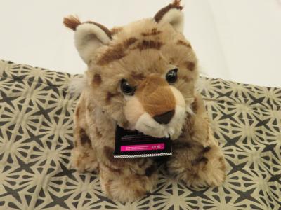 ベッドの上のワンちゃん（買って帰れます）