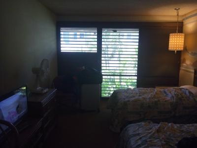 フィン式窓全景