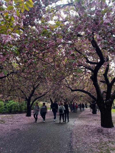 桜並木や日本庭園もあるお散歩スポット