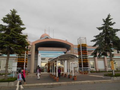 北海道定番のお土産がたくさん