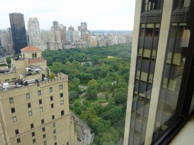 右に広がるのがセントラルパークです！