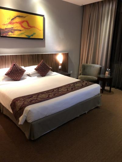 綺麗な客室でした