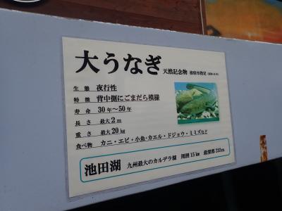 池田湖パラダイスレストラン菜の花