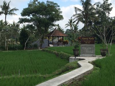 敷地には田んぼが