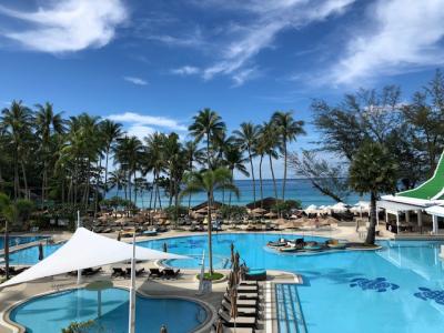 プールはかなり広い