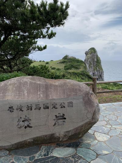 予想以上にサル