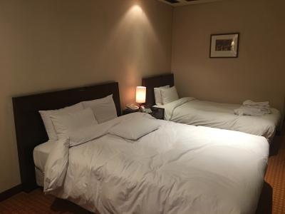 お部屋の感じ 広かったです。