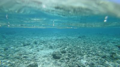 ホテル前の海は最高に美しい　遠浅で家族でシュノーケルも楽しい