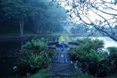 朝のお庭のお散歩