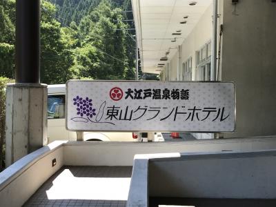 緑深く By てにをはさん 大江戸温泉物語 会津東山温泉 東山グランドホテルのクチコミ フォートラベル 東山温泉