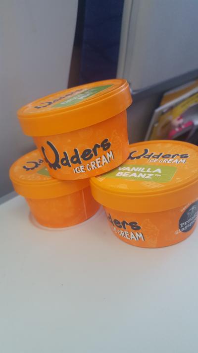 スクート成田から桃園