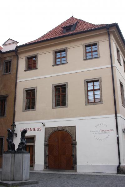 開店時間に行ったらゆっくり見れました