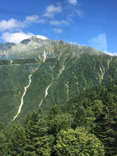 絶景を見るために是非、乗るべきです。