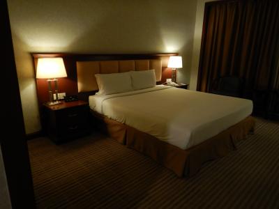 広くて清潔なベットでした