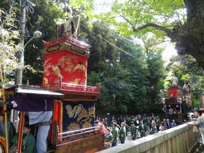 赤坂氷川祭・神幸祭の江戸型山車巡行の地味な面白さ