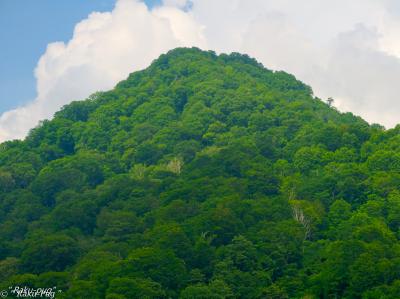 　遠くから見ると　優しい感じの　雨飾山
