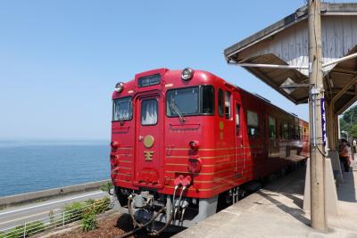 ほっこりする観光列車