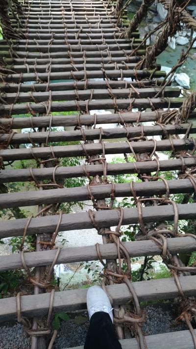 見た目より怖かった！