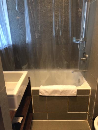 風呂は狭いですが、許せる範囲