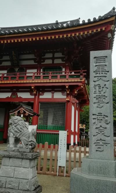 見どころたくさん