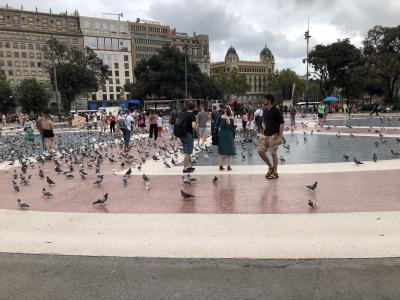 ホテルを出てすぐのカタルーニャ広場