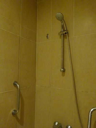 シャワーは動かせるタイプなのが〇