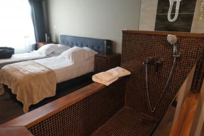 部屋にシャワー付きバスがありました