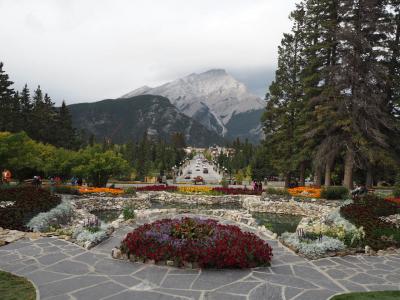 色とりどりの花が咲き誇る