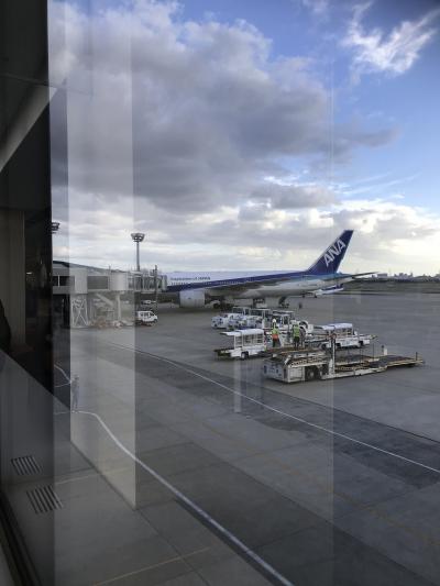 落ち着いた雰囲気の空港