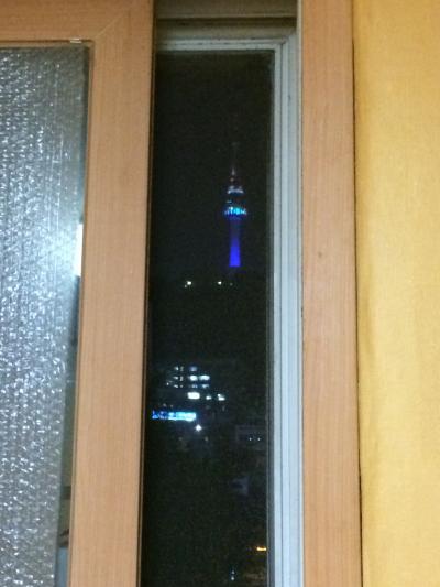 部屋の窓からソウルタワーが間近に見えます